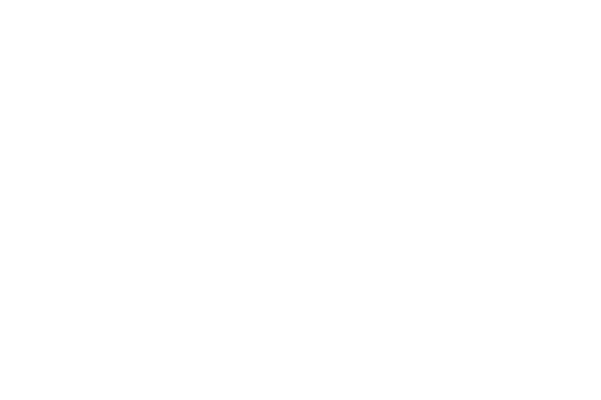 Zeptonet
